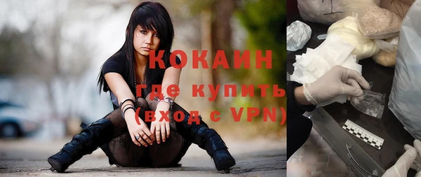 индика Пересвет