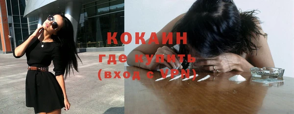 индика Пересвет