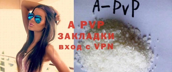 индика Пересвет