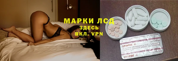 индика Пересвет