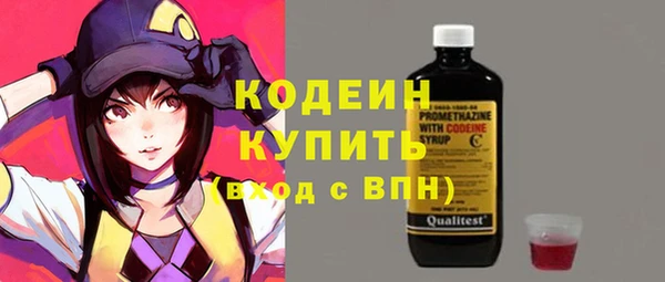 индика Пересвет