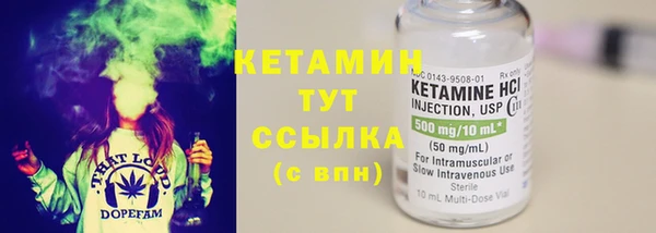 индика Пересвет