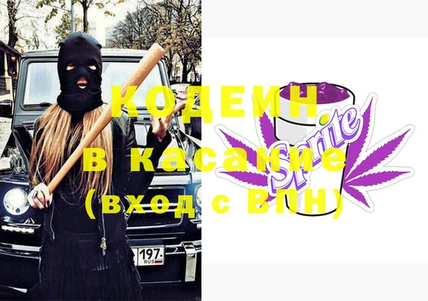 индика Пересвет