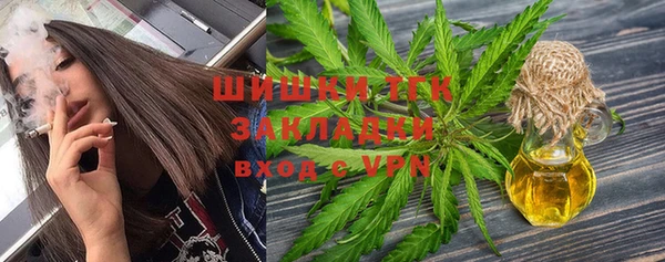 индика Пересвет