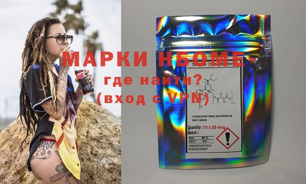 индика Пересвет