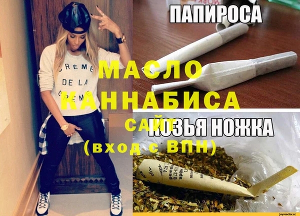 индика Пересвет
