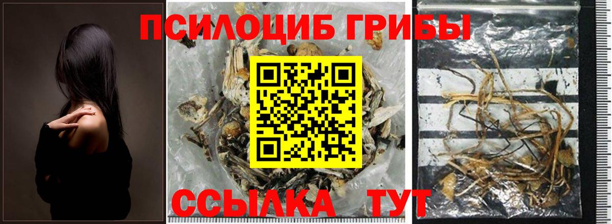 Псилоцибиновые грибы Magic Shrooms Северобайкальск