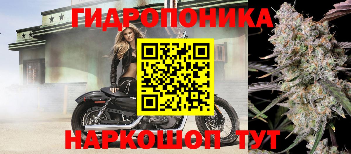 Конопля ГИДРОПОН  Конопля планчик  Северобайкальск  Вход с VPN 